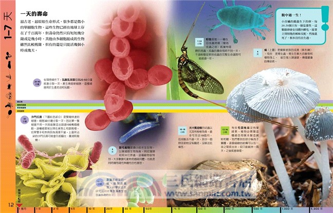 國家地理生命時間大百科：地球上的生物可以活多久－－幾分鐘、幾個月，還是幾千年？