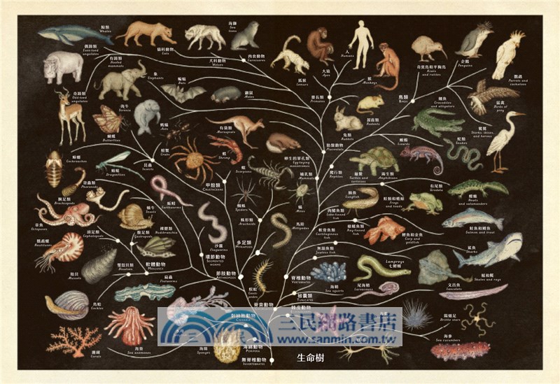 動物博物館【台灣獨家封面版】