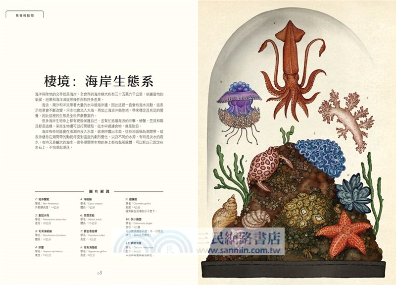 動物博物館【台灣獨家封面版】