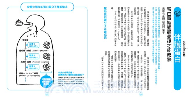 圖解超級身體系統：6大自然健康法則集結46位醫學人士專業研究