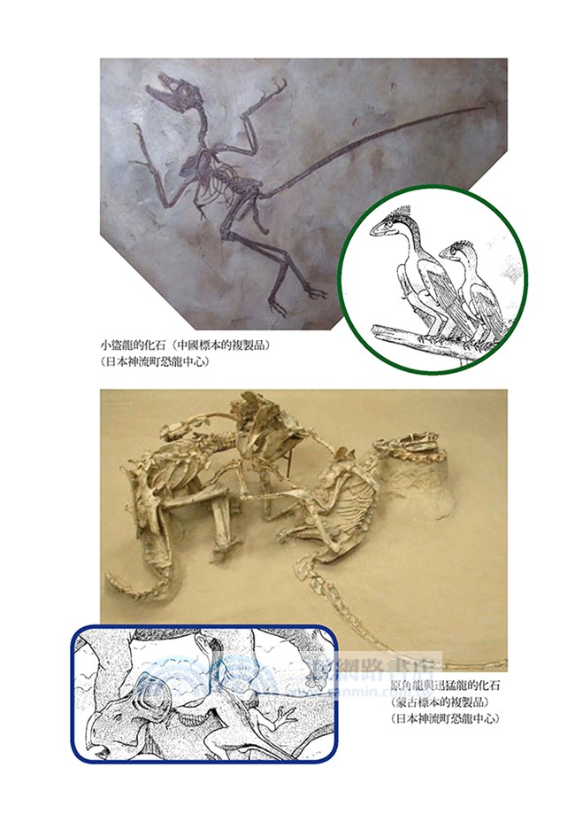 COMIC恐龍物語03：迅猛龍生存的時代