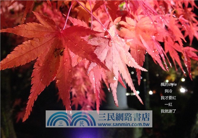 步諦森 Buddism style 圖文‧詩日誌