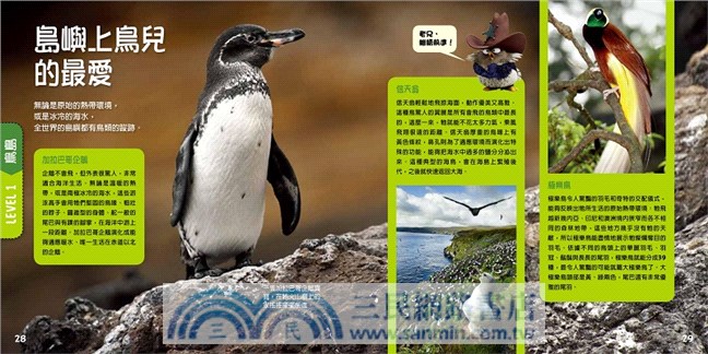 憤怒鳥銳德的大冒險