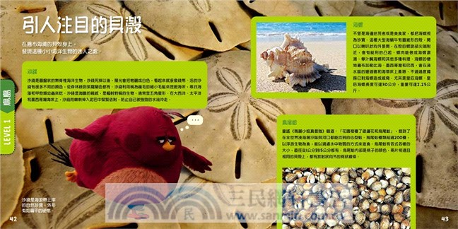 憤怒鳥銳德的大冒險