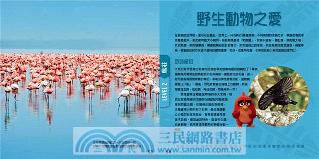 憤怒鳥銳德的大冒險