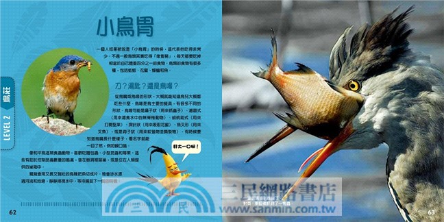 憤怒鳥銳德的大冒險