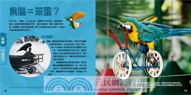 憤怒鳥銳德的大冒險