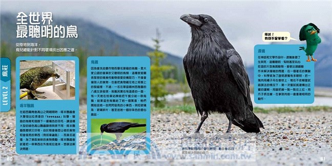 憤怒鳥銳德的大冒險