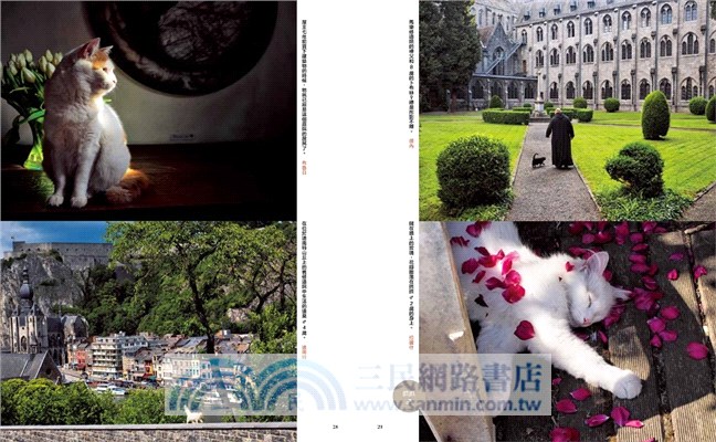 岩合光昭的貓步走世界