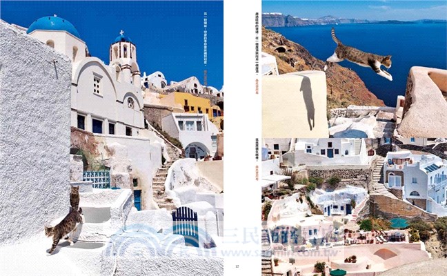 岩合光昭的貓步走世界