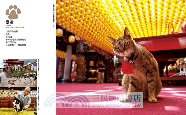 岩合光昭的貓步走世界