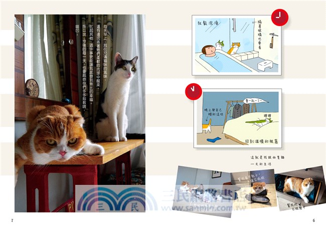 今天也吸收了貓咪能量