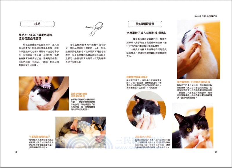 開始養貓：新手也能輕鬆迎接「愛貓生活」的完全入門圖解書