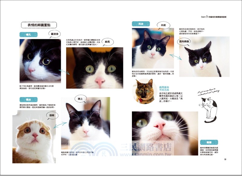 開始養貓：新手也能輕鬆迎接「愛貓生活」的完全入門圖解書