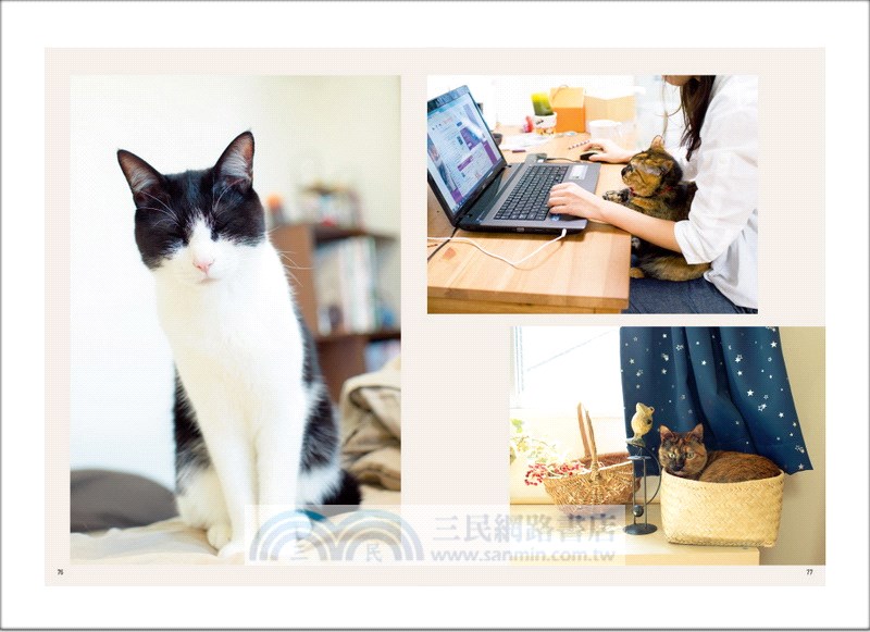開始養貓：新手也能輕鬆迎接「愛貓生活」的完全入門圖解書