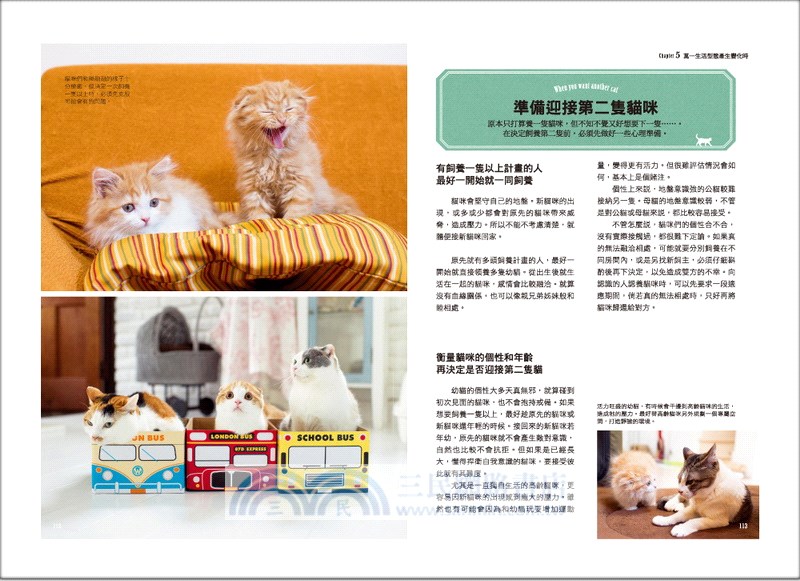 開始養貓：新手也能輕鬆迎接「愛貓生活」的完全入門圖解書