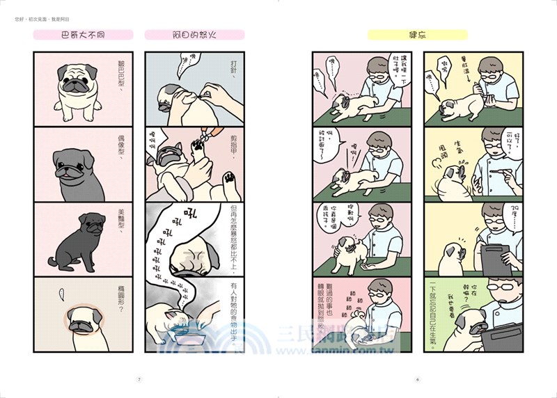 巴哥哪有這麼萌：偽童話劇場X呆萌日記X知識小學堂，日本最夯巴哥犬來襲，讓網友笑到嫑嫑的!