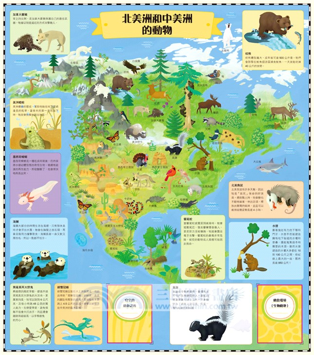 翻轉‧動物大地圖：一邊學一邊玩的折疊地圖書中書