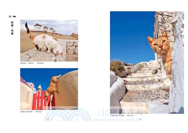 與貓散步－岩合光昭