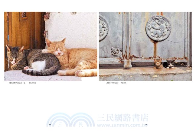 與貓散步－岩合光昭