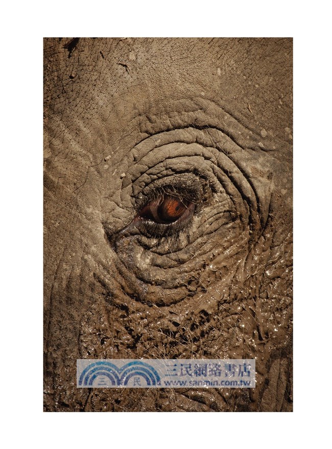 看見攝影的當下：國際得獎攝影師觀點，那些抓住我目光的100件事