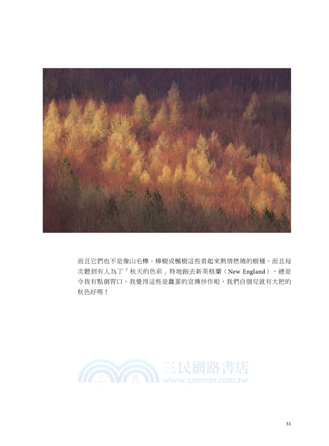 看見攝影的當下：國際得獎攝影師觀點，那些抓住我目光的100件事