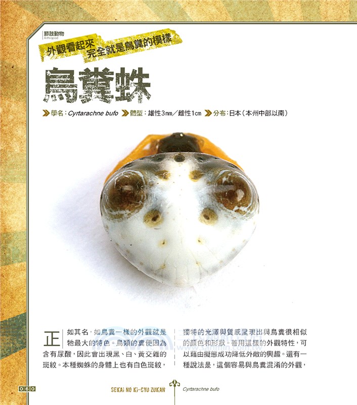 世界奇蟲圖鑑：怪模怪樣怪可愛