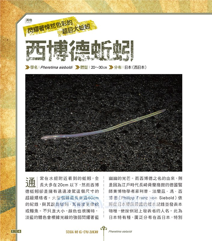 世界奇蟲圖鑑：怪模怪樣怪可愛