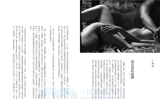 凝視的身影：37位台灣當代藝術家的生命歷程與藝術創作