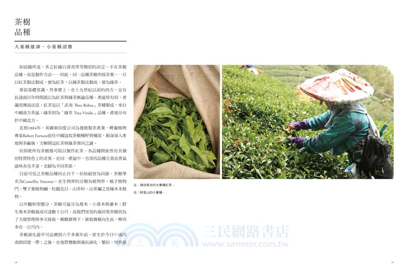 紅茶經：葉怡蘭的二十年尋味之旅