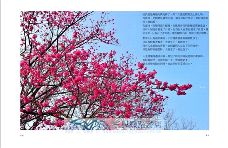 流浪‧大叔‧歐多拜：給活著的自己一個流浪的理由