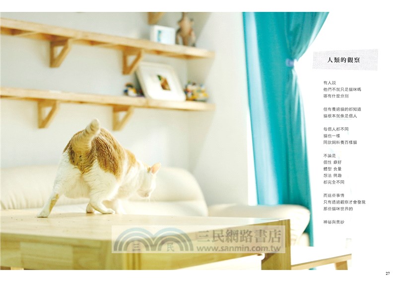 黃阿瑪的後宮生活：被貓咪包圍的日子