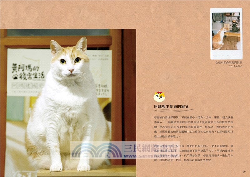 黃阿瑪的後宮生活：被貓咪包圍的日子