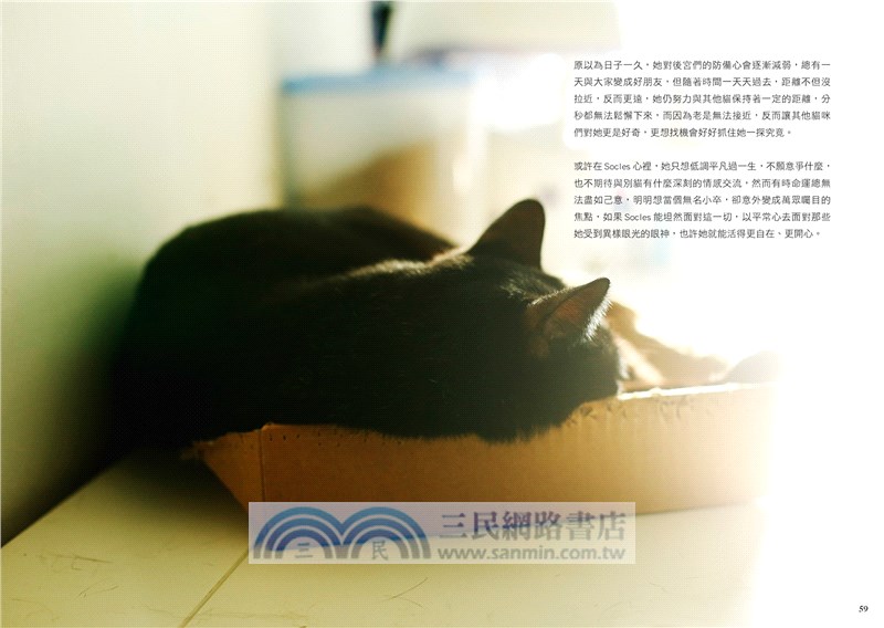 黃阿瑪的後宮生活：被貓咪包圍的日子