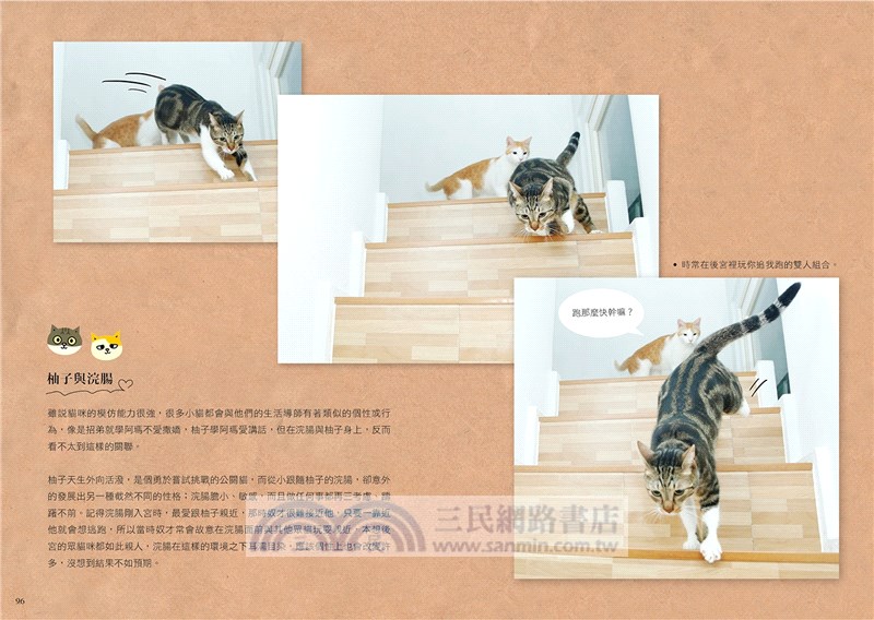 黃阿瑪的後宮生活：被貓咪包圍的日子