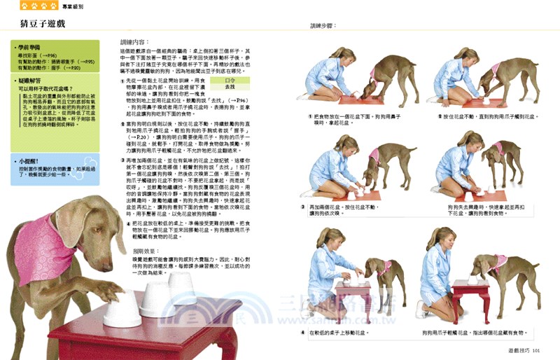 狗狗訓練全書：101堂成長課，讓愛犬聰明聽話又貼心