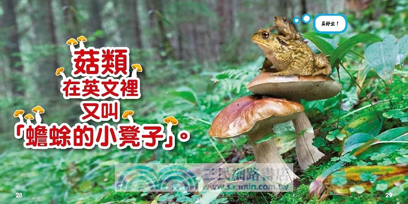 真的好奇怪08：300個嚇你一跳的事實真相