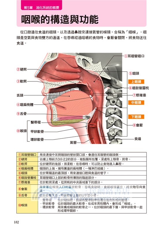 人體全解剖圖鑑 專業醫學背景下的基礎剖析 完整說明 三民網路書店