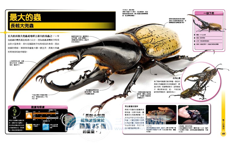 超能力昆蟲百科 地球上最大 最快 最致命的昆蟲與節肢動物 三民網路書店