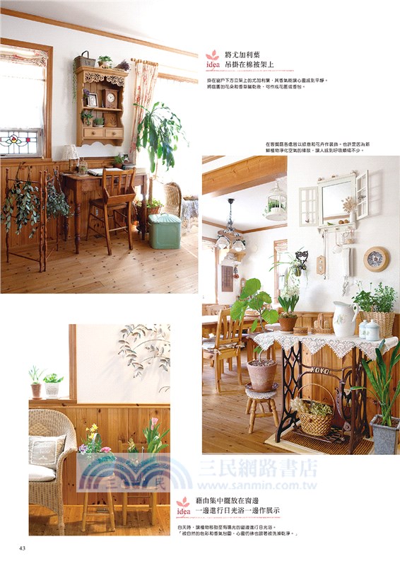 雜貨X花草盆栽布置特選150