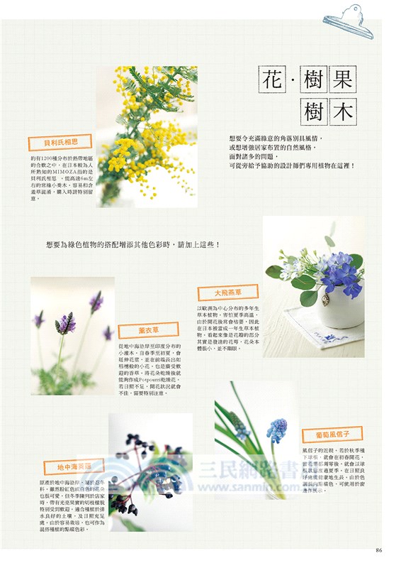 雜貨X花草盆栽布置特選150