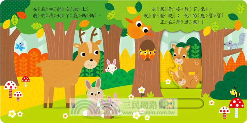 森林裡的大發現