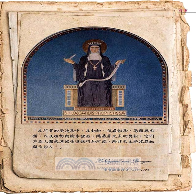 德國醫生愛用的聖賀德佳香草植物養生寶典