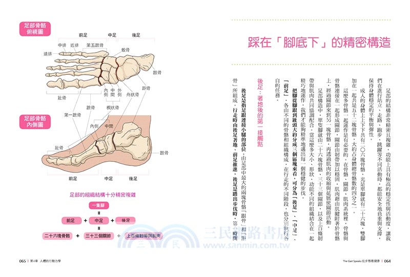 從步態看健康：走對了，痠痛bye bye，身材回正！