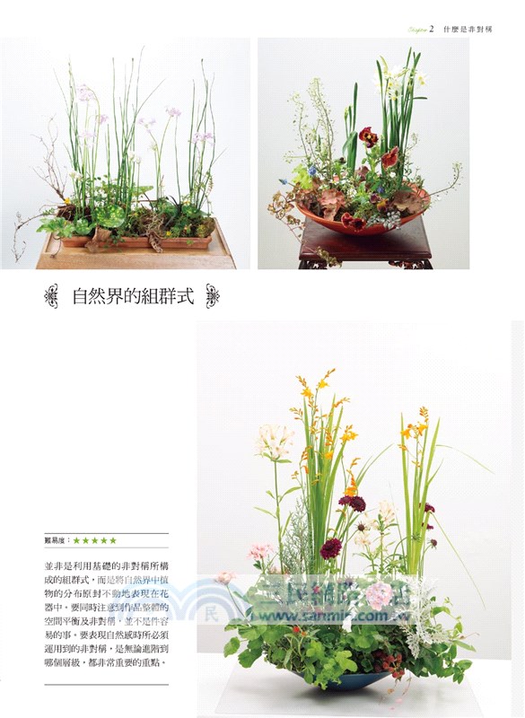 花藝設計基礎理論學