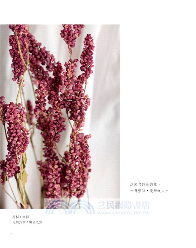 綠色穀倉．最多人想學的24堂乾燥花設計課