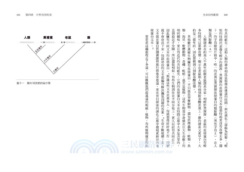 生命如何創新：大自然的演化創新力從何而來？