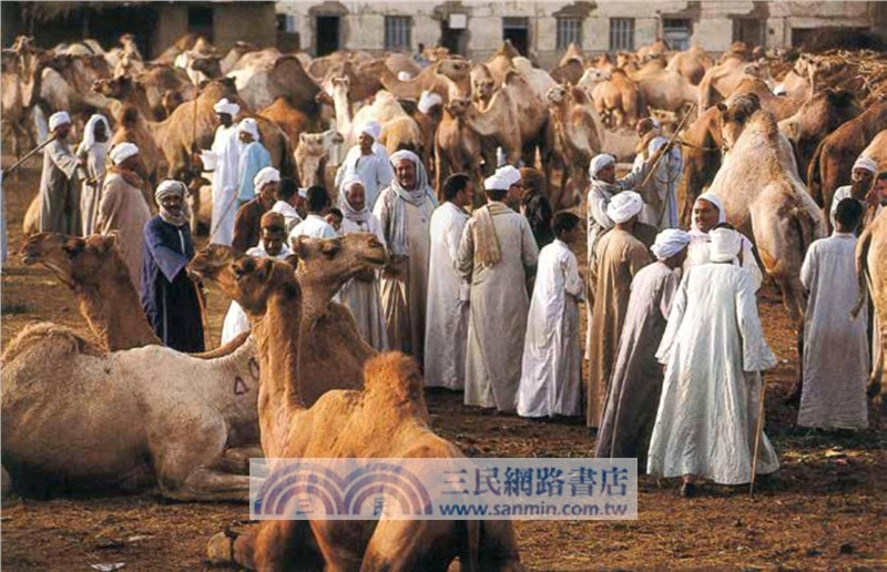 聆聽馬拉喀什：摩洛哥古都漫遊