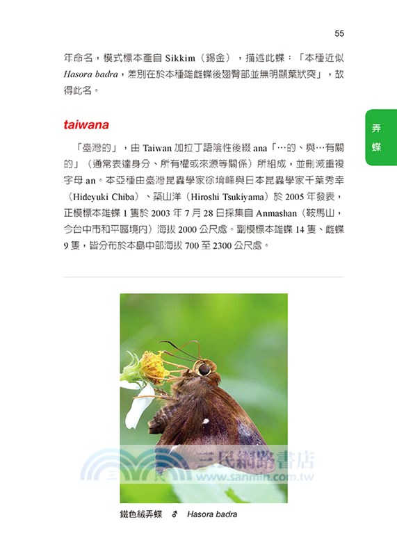 臺灣蝴蝶拉丁學名考釋