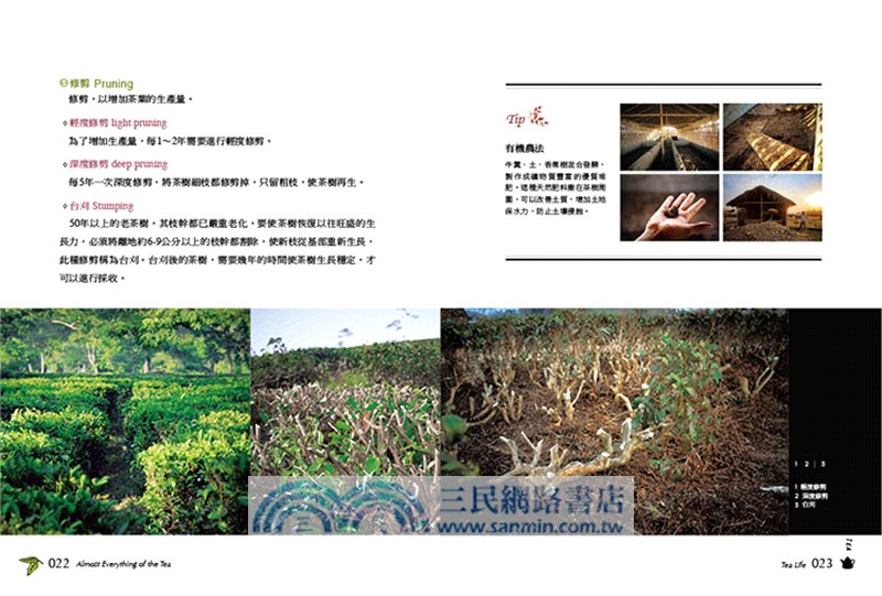 紅茶的一切：紅茶迷完全圖解指南